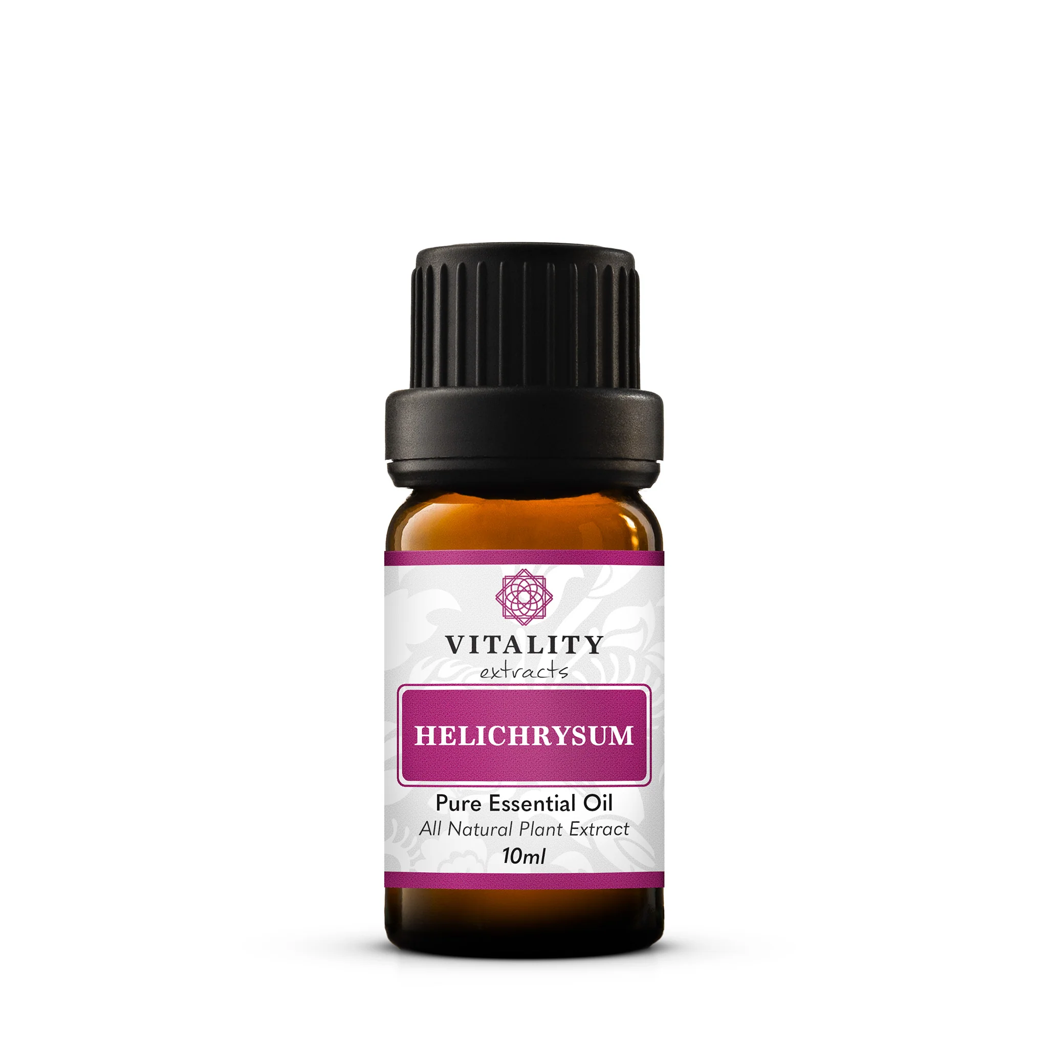 Helichrysum - Image 8